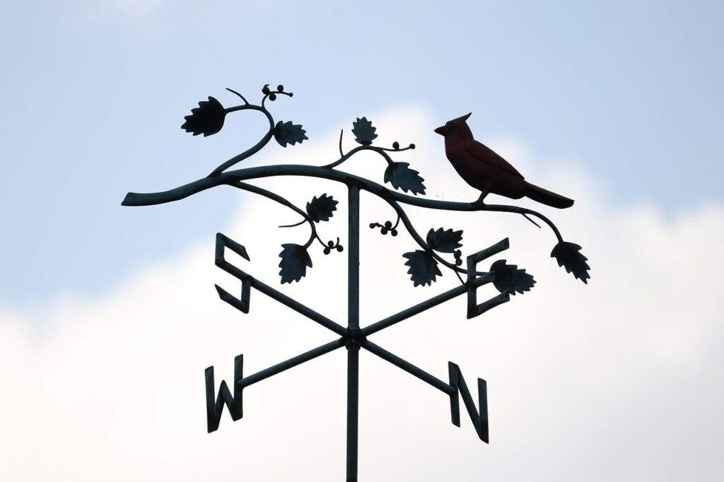 Een kompas als symbool voor het bepalen van je koers bij loopbaanvragen